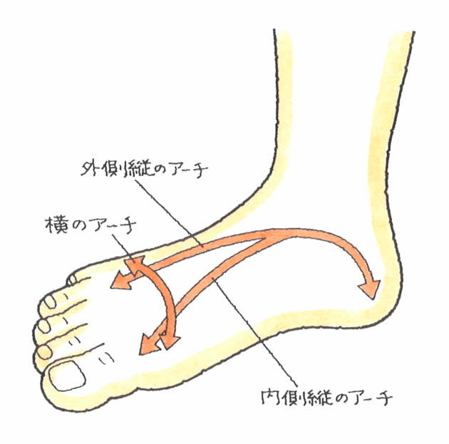 ブログ 足根骨の骨折 立法骨 りっぽうこつ 圧迫骨折 くるみ割り骨折 熊本の弁護士 交通事故のトラブル弁護は田中ひろし法律事務所